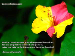 ramana_maharshi_quotes Quotes 3